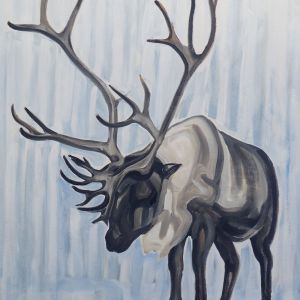 Nathalie Letulle, ARCTIC CARIBOU